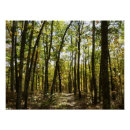 Recherche de octobre posters Nature