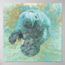 Recherche de aquatiques en art Maison de vacances