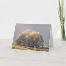 Recherche de matin noël cartes Saison