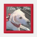 Suche nach schals magnete Hunde