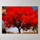 Suche nach liebe ist in der luft poster Natur
