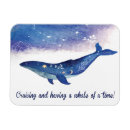 Recherche de baleines magnets Alaska