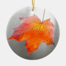 Suche nach mystisch ornamente Rot