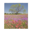 Suche nach felder notizblock Nordamerika