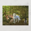 Suche nach der wolf postkarten Wald
