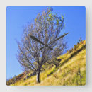 Suche nach hängen wanduhren Baum