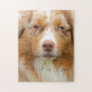 Recherche de australian shepherd puzzles Aussie
