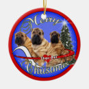 Suche nach shar pei ornamente Weihnachten