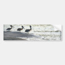 Suche nach unter dem meer autoaufkleber Tiere