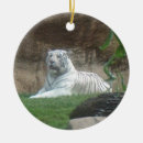 Recherche de menacé Zoo
