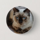 Suche nach ei buttons Modern