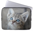 Recherche de image ordinateurs portables protections Photographie