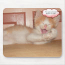 Suche nach lächelnde katze mousepads Kätzchen