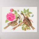 Recherche de colombe de art Botanique