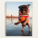 Suche nach strand planer Welpe