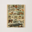 Suche nach säugetiere puzzle Lebensraum