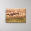 Suche nach yellowstone nationalpark leinwandbilder Wyoming