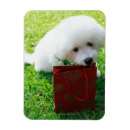 Suche nach 7 magnete Hund