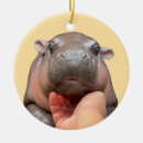 Suche nach moo ornamente Babyhippo