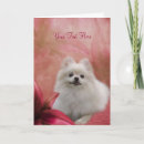 Suche nach weiße lilie karten Blumen