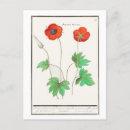 Suche nach botanische illustration postkarten Darstellung