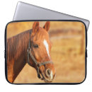 Suche nach pferde laptop schutzhüllen Cowboy