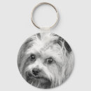 Suche nach yorkshire terrier schlüsselanhänger Niedlich