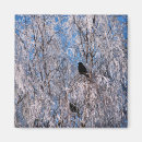 Recherche de saisons magnets Arbres