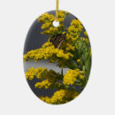 Suche nach gelber schmetterling ornamente Natur