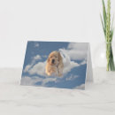 Suche nach golden retriever geburtstag karten Retriefe