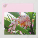 Suche nach blumenpostkarte Rosa