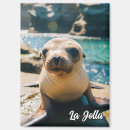 Recherche de otarie magnets Californie