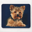 Suche nach yorkie hund mousepads Yorkshire terrier