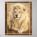 Suche nach löwe foto poster Wildtier