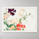 Suche nach erbse poster Pflanze