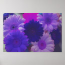 Recherche de purple flower posters Pour tous