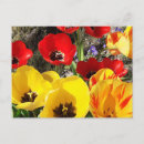 Recherche de rouge jaune cartes postales Été