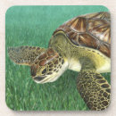 Suche nach schildkröten untersetzer Natur