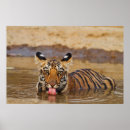 Suche nach drinking poster Trinken