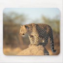 Suche nach namibia mousepads Wild lebende tiere