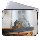 Suche nach eichhörnchen laptop schutzhüllen Tierwelt