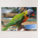 Suche nach wilde papageien puzzle Wild lebende tiere
