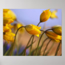 Suche nach zusatz kunst Blume