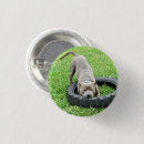 Recherche de jouant badges Chien