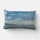 Recherche de michigan coussins Bleu