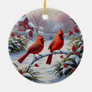 Suche nach singvögel ornamente Schnee
