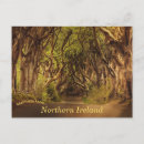 Recherche de haies cartes postales Antrim