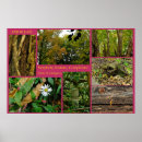 Suche nach amor poster Blume