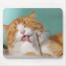 Suche nach lecken sie mousepads Katze