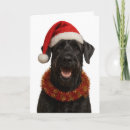 Suche nach riesenschnauzer karten Weihnachten